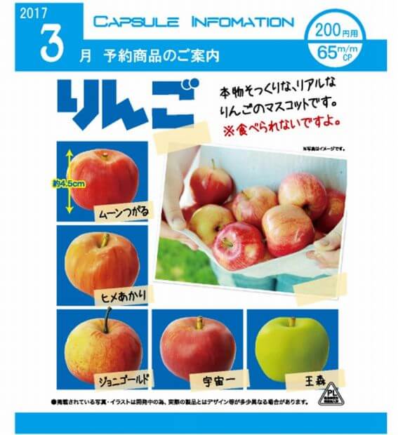 りんご(50個入り)