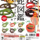 HG蛇図鑑ミニフィギュア(100個入り)