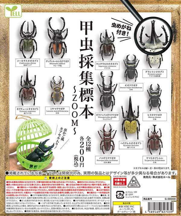 甲虫採集標本 ～ZOOM～(50個入り)