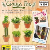 ちいさなGreen Pot(100個入り)