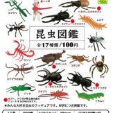 昆虫図鑑(100個入り)