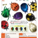 3Dファイルシリーズ THE てんとう虫&こがね虫(40個入り)