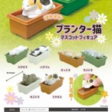 プランター猫 マスコットフィギュア(40個入り)