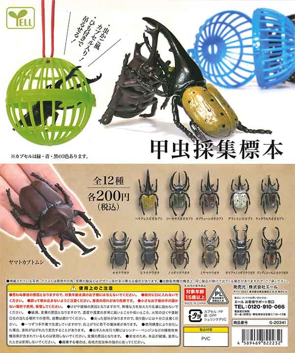 甲虫採集標本(50個入り)