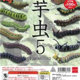 芋虫5 – IMOMUSHI -(100個入り)