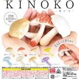 KINOKO(50個入り)