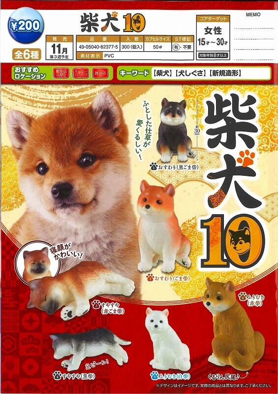 柴犬10(50個入り)