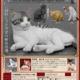 AIP 森口修の猫 フィギュアマスコット～新色～(20個入り)