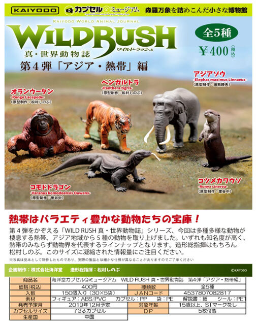 カプセルqミュージアム Wild Rush 真 世界動物誌 第4弾 アジア 熱帯編 30