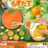 柑橘系ぷにっともぎたてストラップ(50個入り)